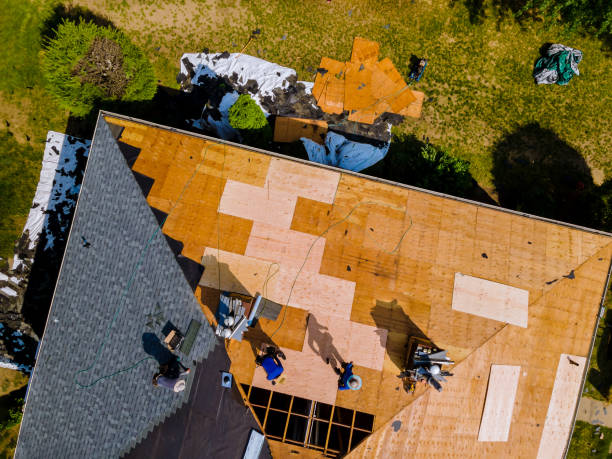 Best Storm Damage Roof Repair  in Lipatria, CA